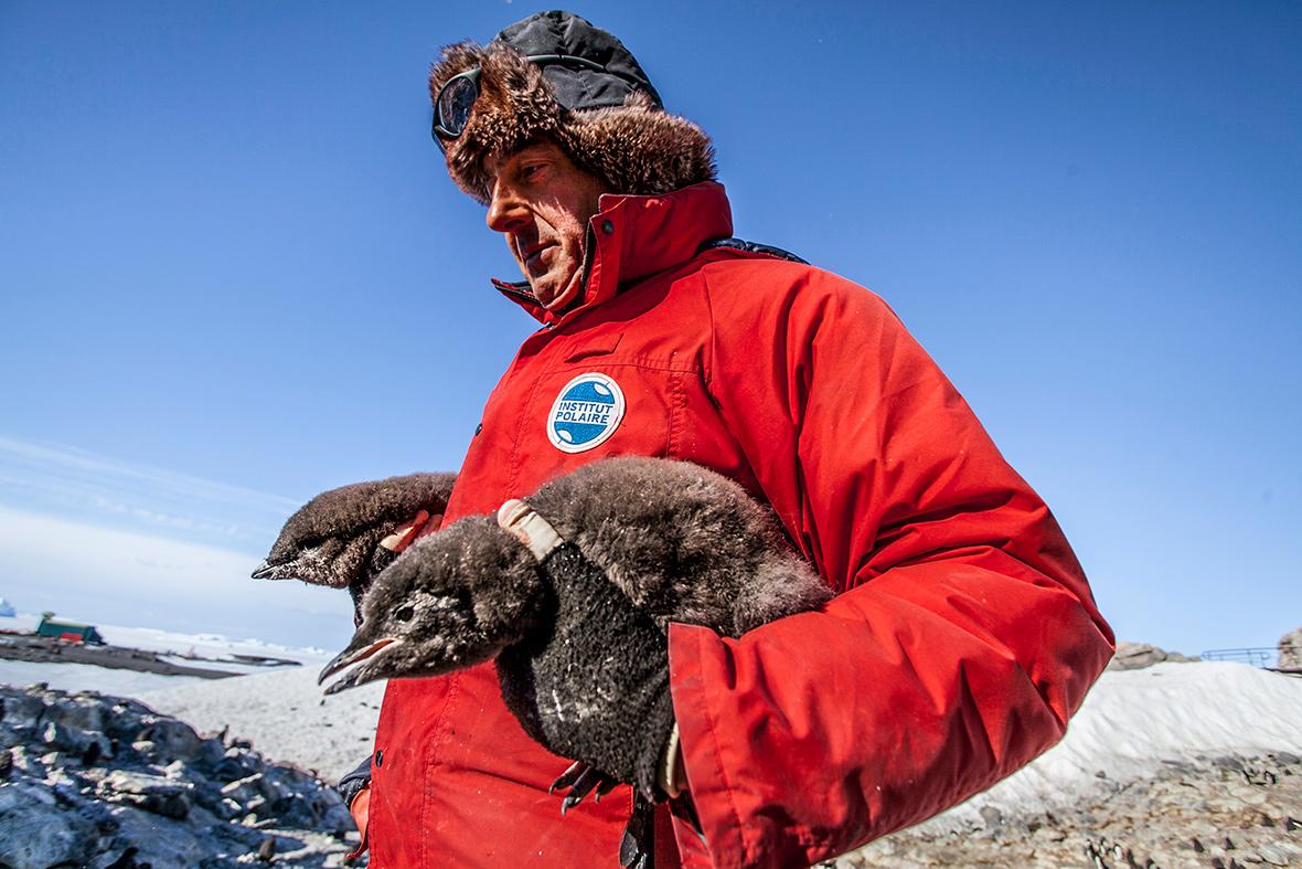 Archives polaires, une soirée d'Histoire