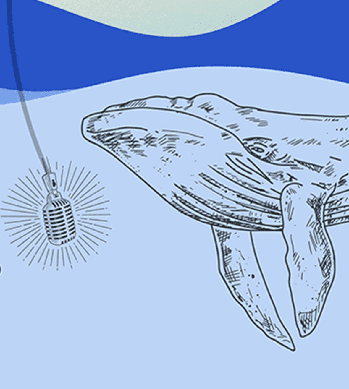 Visuel Journée jeunes bioacousticien·nes