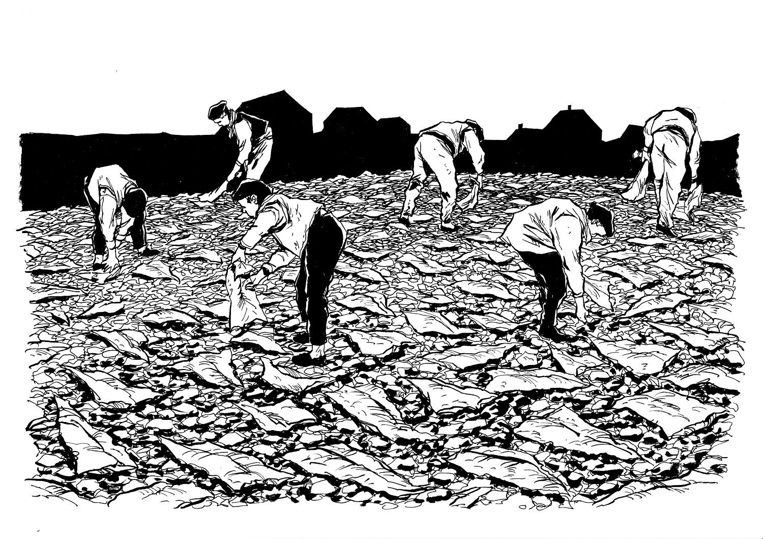 Illustration des petits graviers de Chabouté