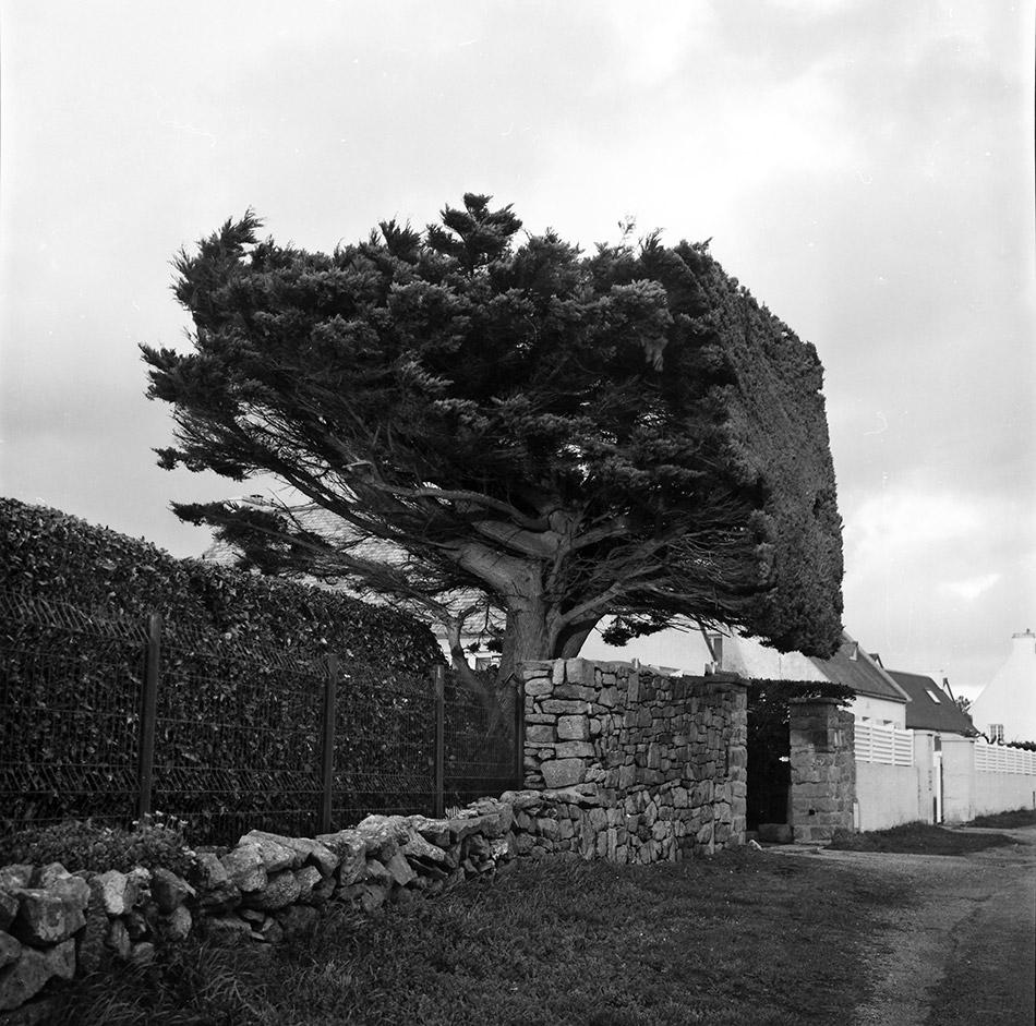 Exposition "venir voir venir" - Jean-Pierre Le Bars