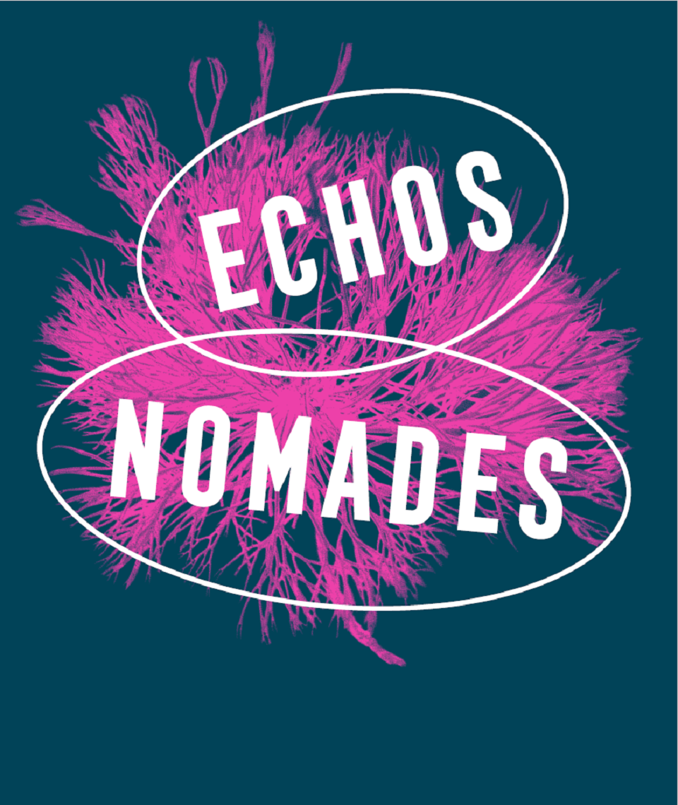 affiche échos nomades
