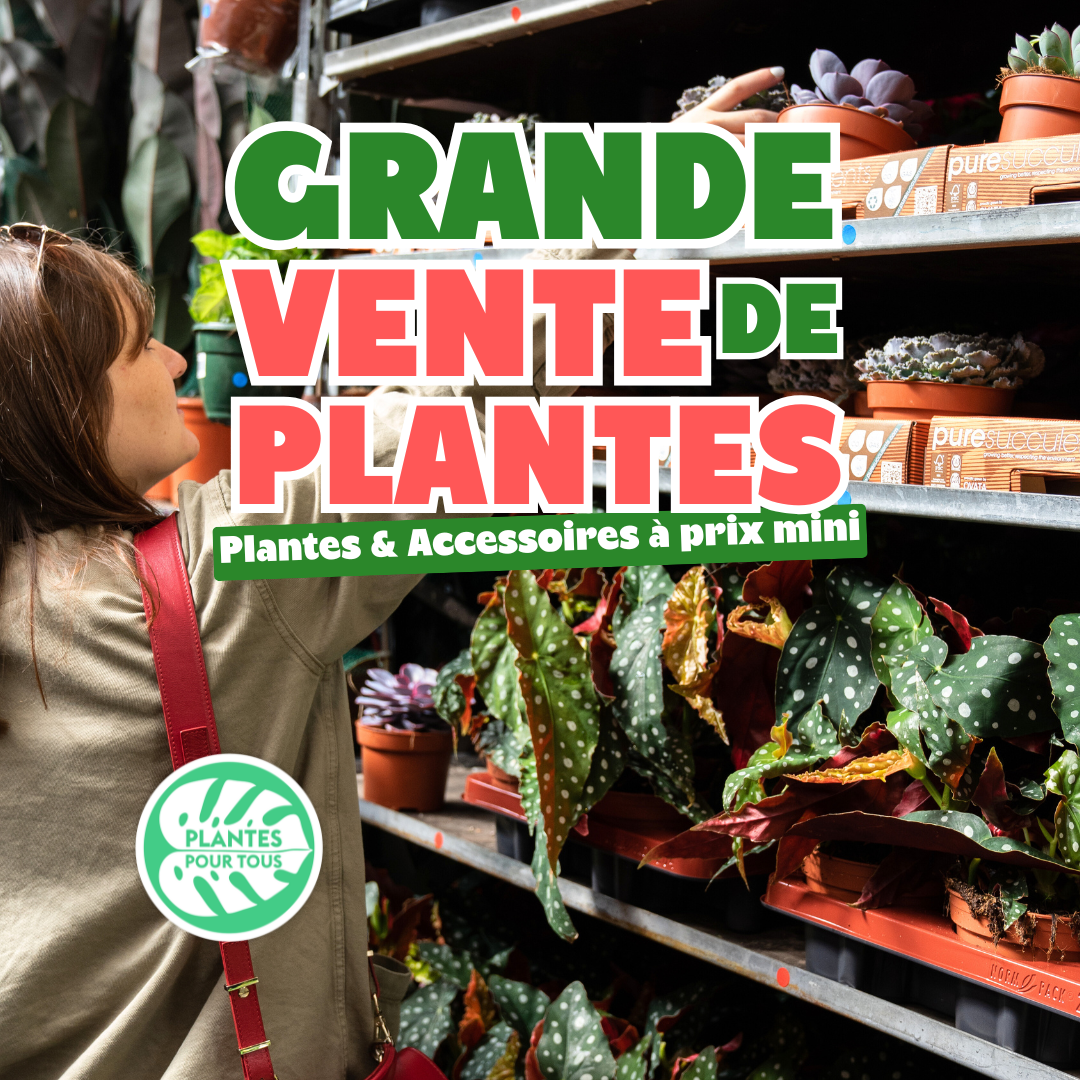 Grande vente de plantes #2