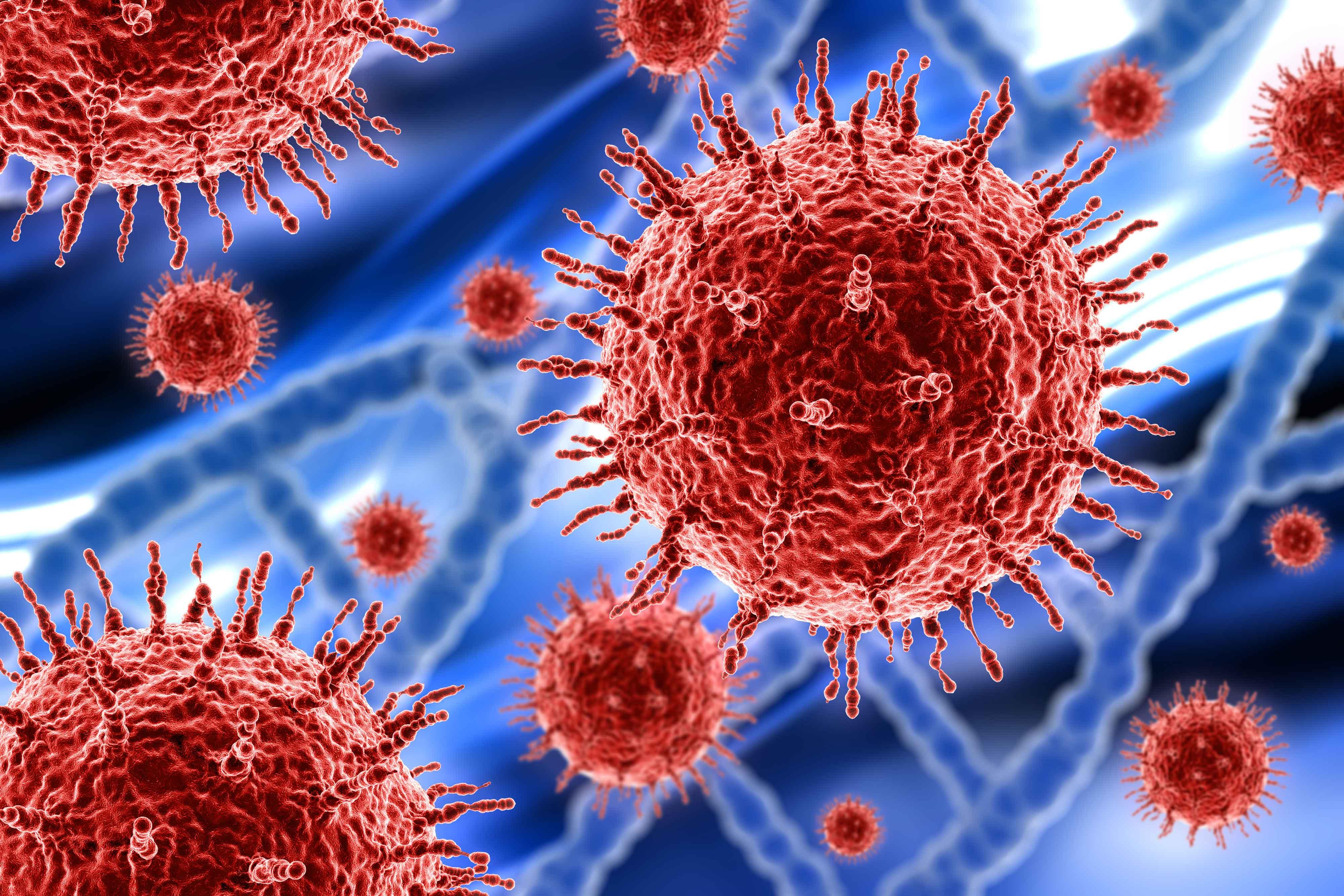 virus