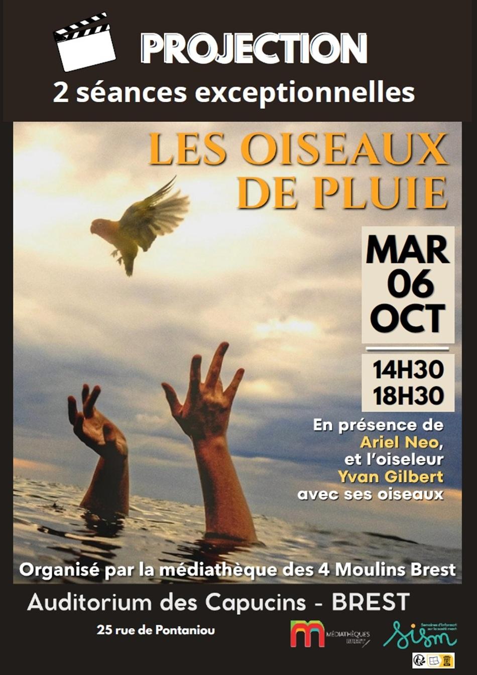 oiseaux