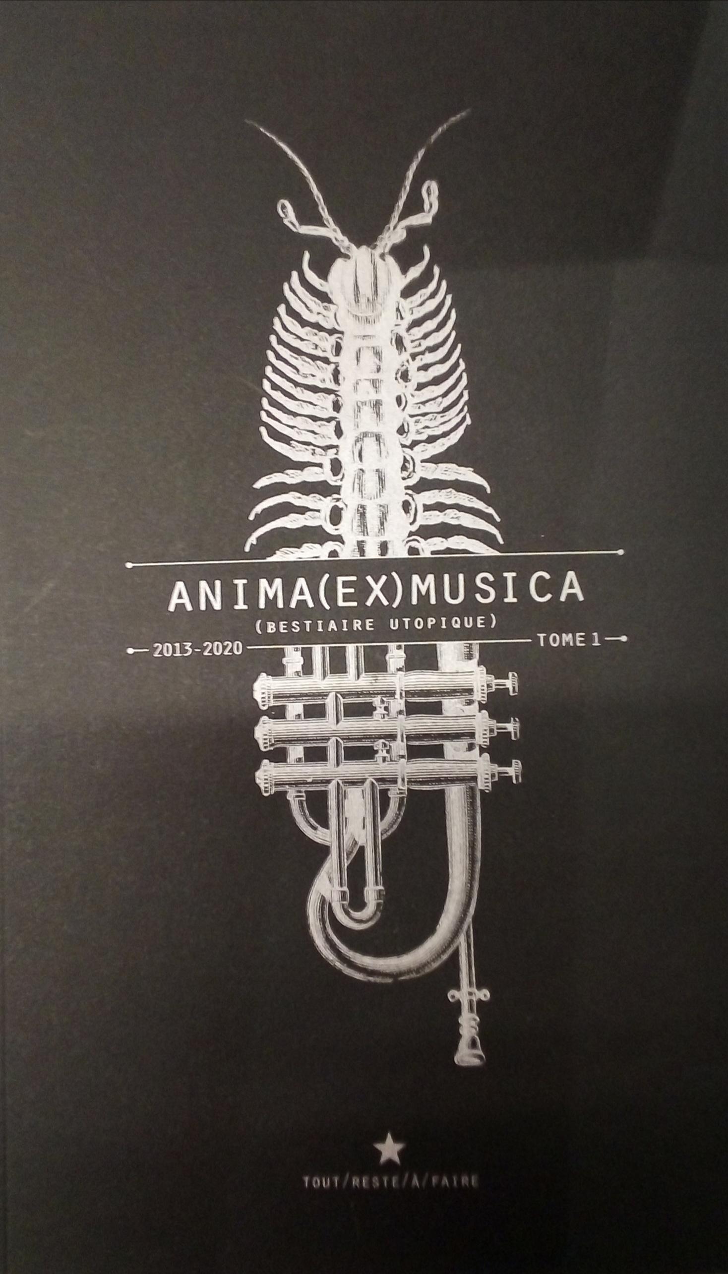 Anima (ex) Musica