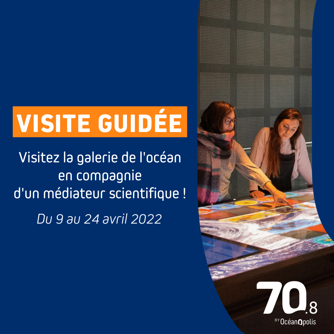 Visite guidée