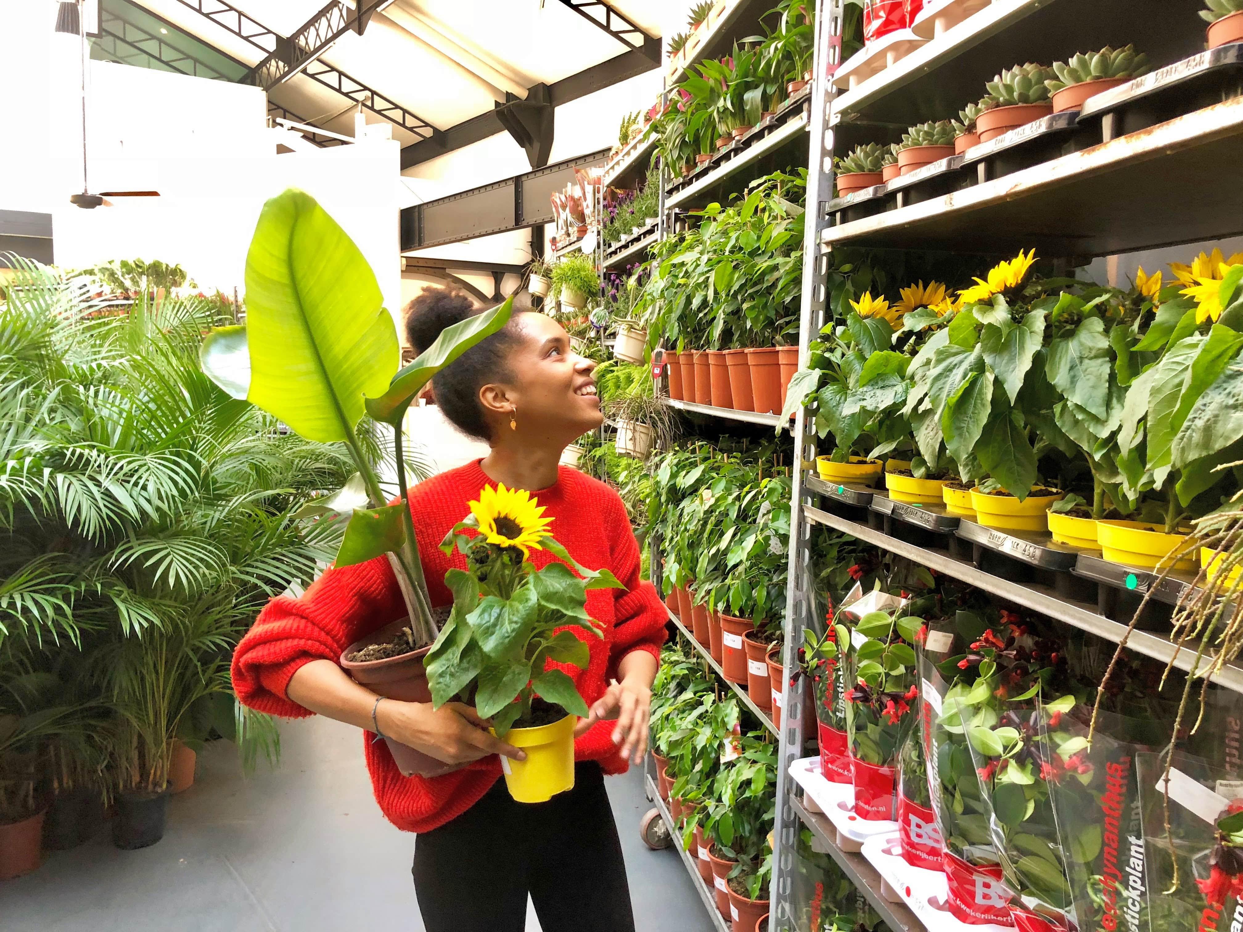 Grande Vente de Plantes - Brest