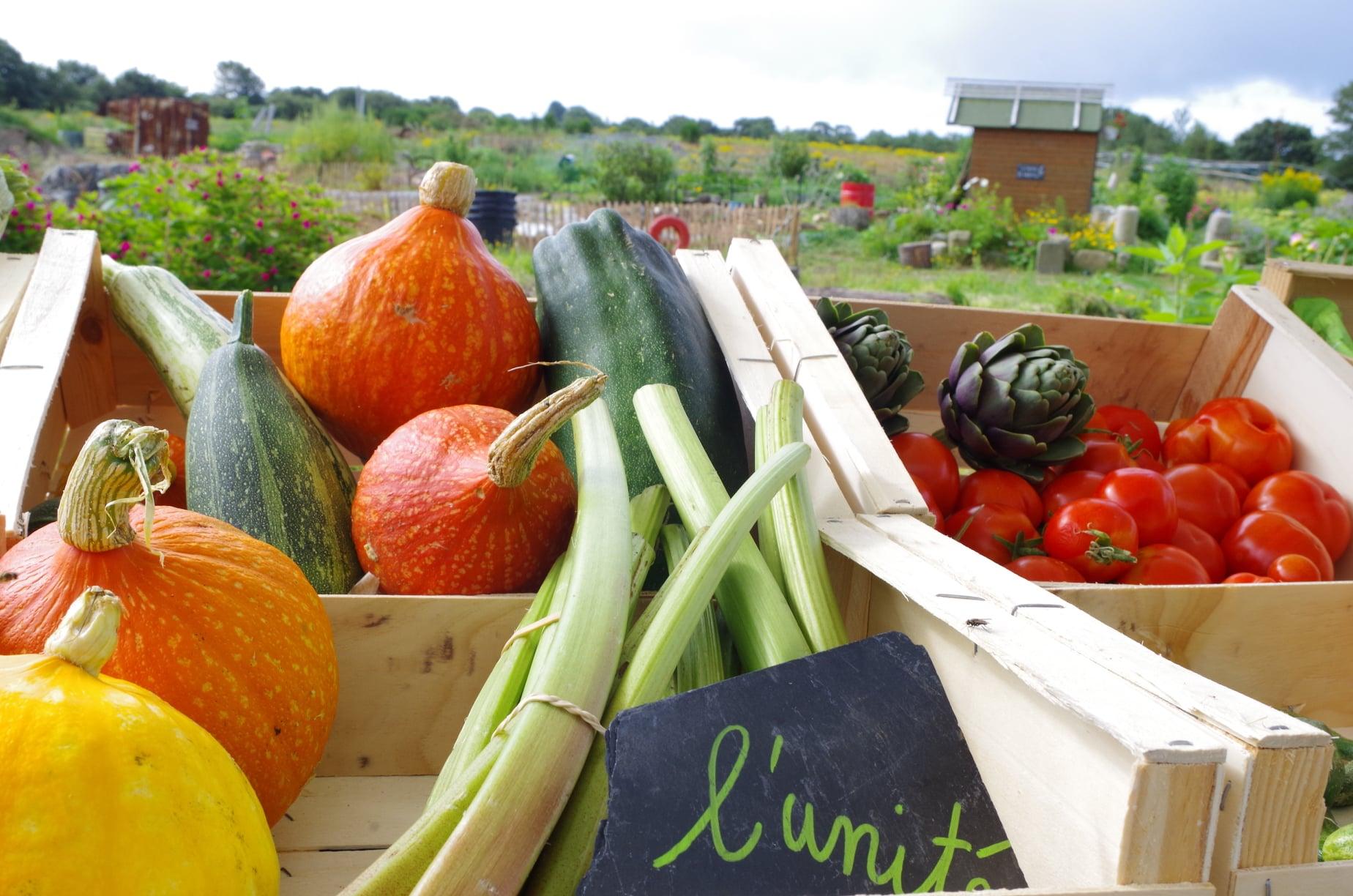 Marché de légumes - La Recyclerie Un Peu d'R