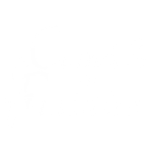 Logo Comédie du Finistère blanc