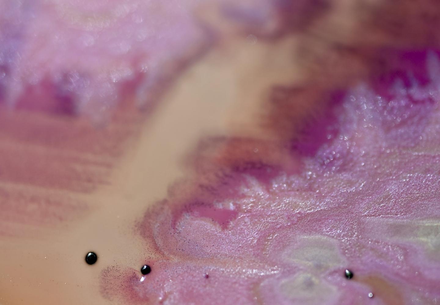 microbiome