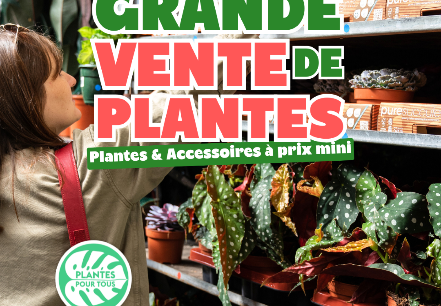 Grande vente de plantes #2
