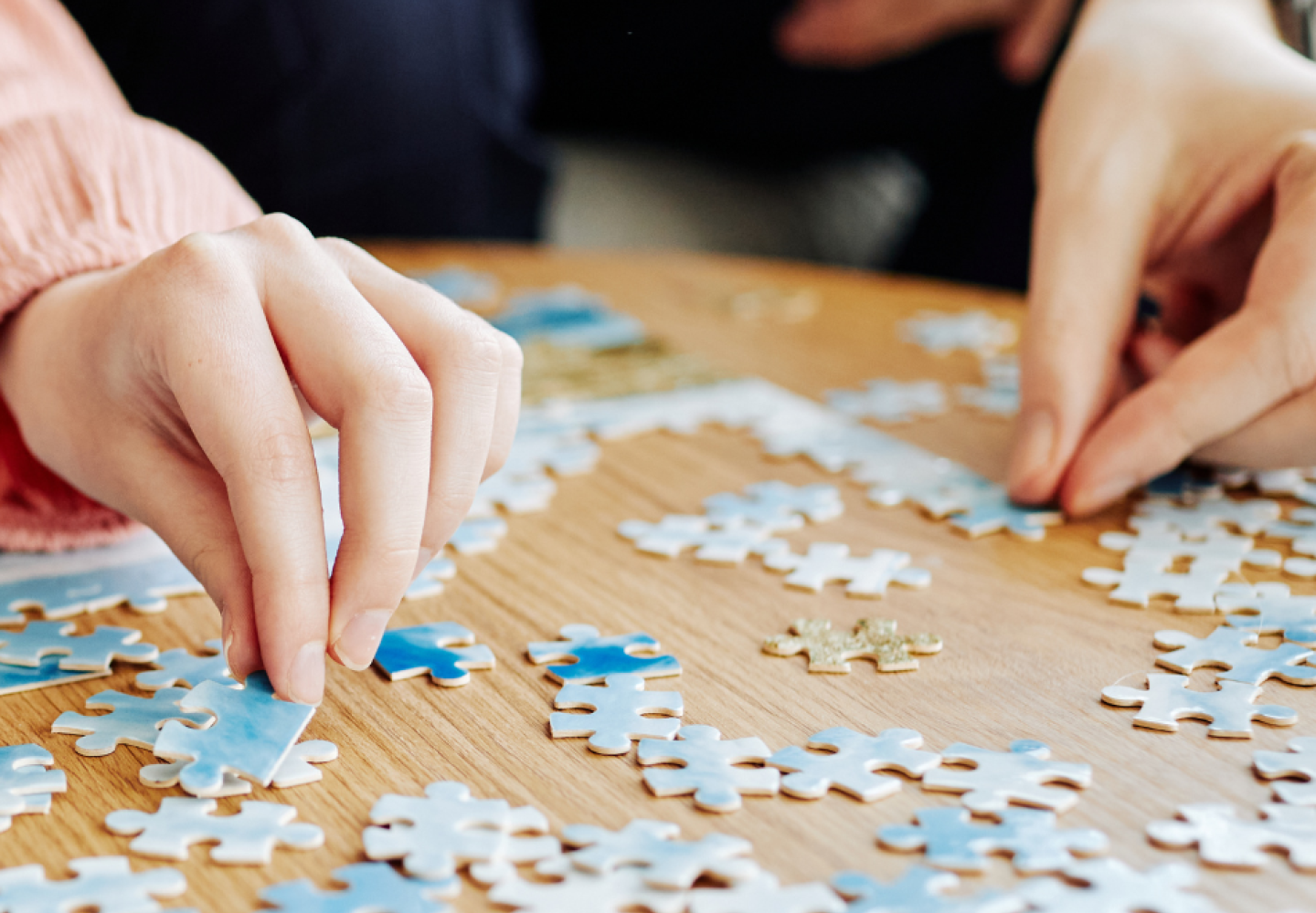 Atelier Puzzle avec Brest en Jouets