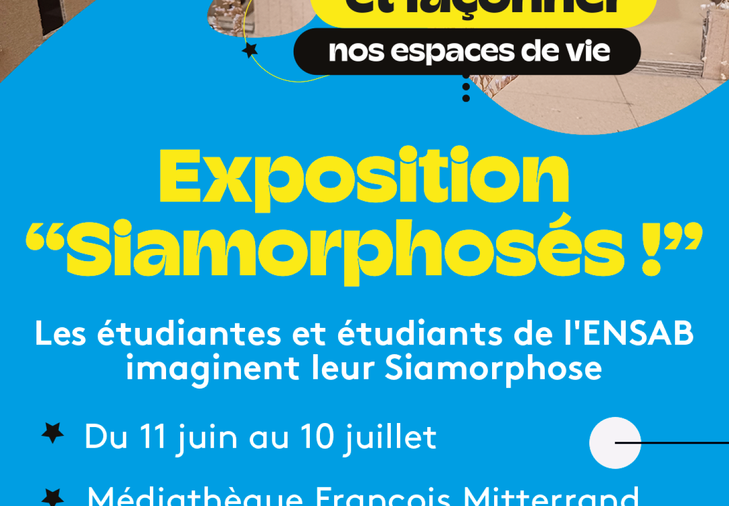 Affiche de Siamorphosés ! 
