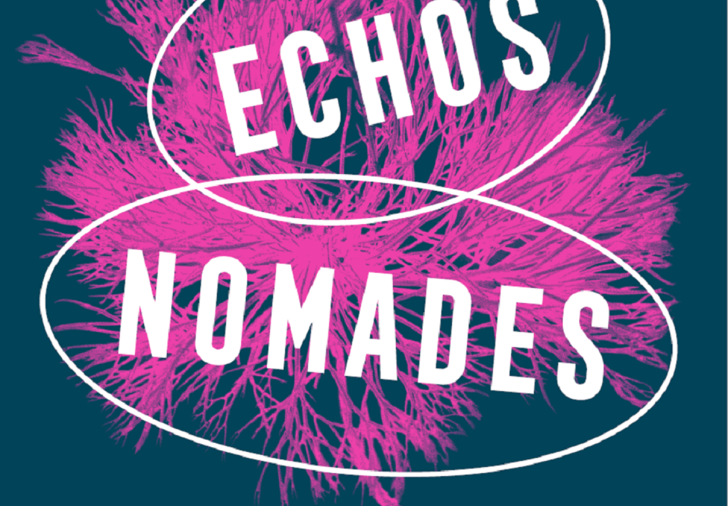 affiche échos nomades