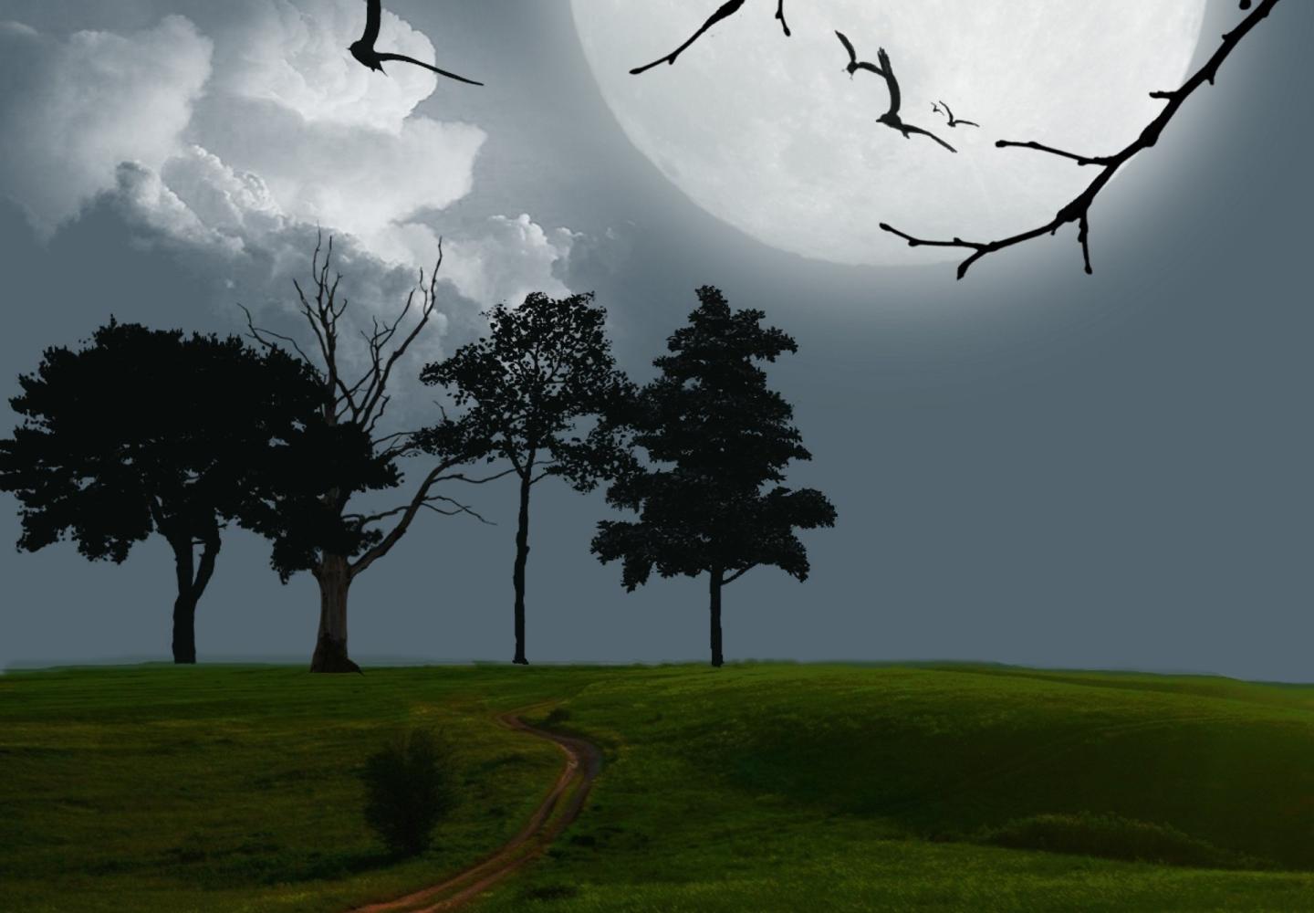 Balade contée autour de la thématique de la Nuit