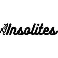 Logo Les Insolites noir